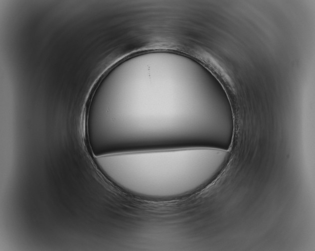 X0000093481276200710120948
