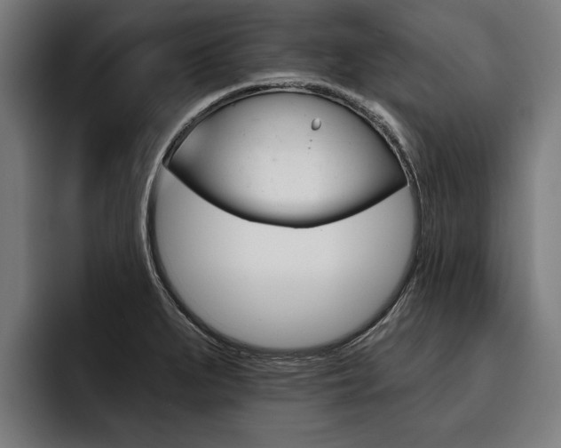 X0000093481279200710120948