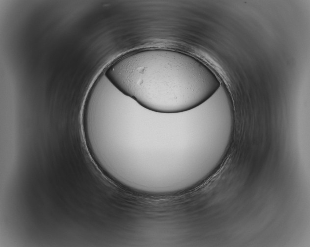X0000093481283200710120948