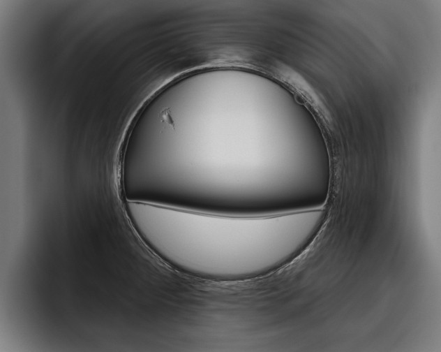 X0000093481284200710120948
