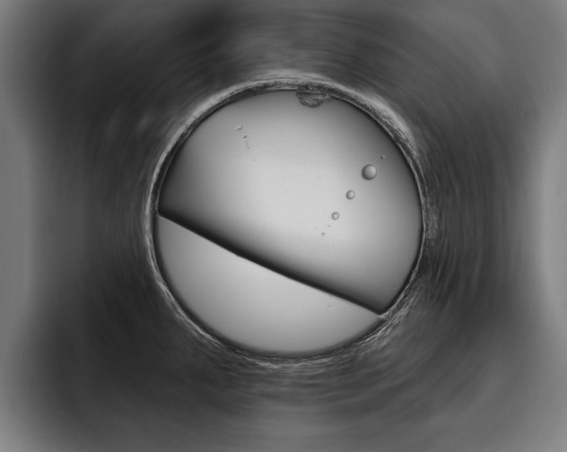 X0000093481287200710120948