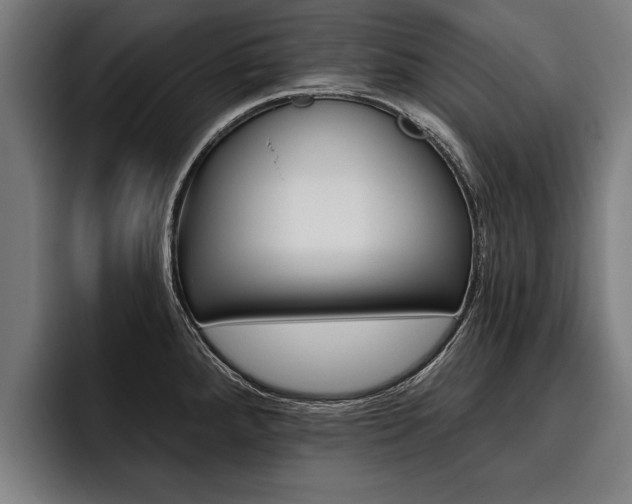 X0000093481288200710120948