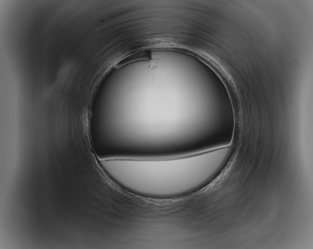 X0000093481289200710120948