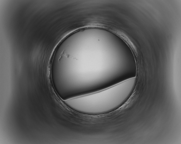 X0000093481292200710120948