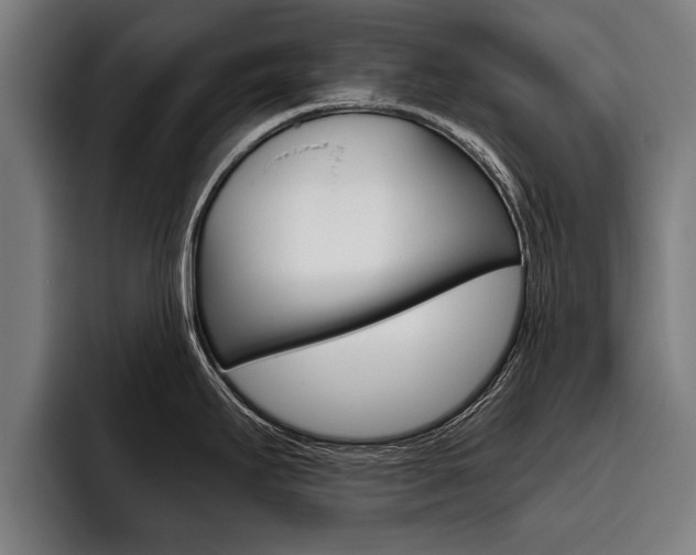 X0000093481295200710120948