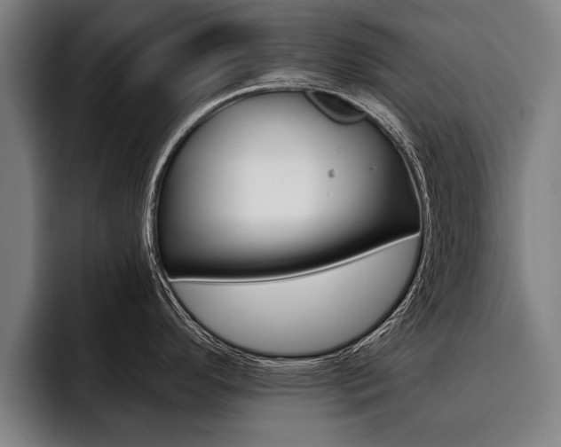 X0000093481296200710120948