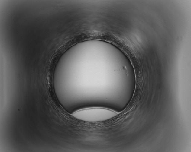 X0000093481301200710120947