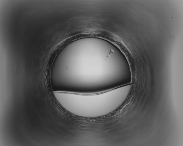 X0000093481304200710120947