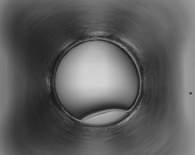 X0000093481305200710120947