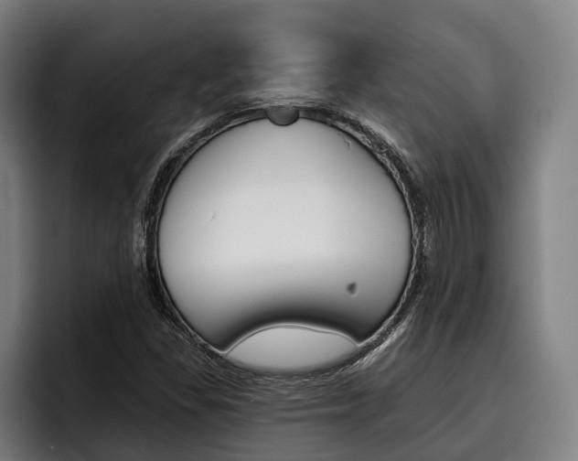 X0000093481309200710120947