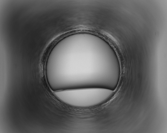 X0000093481310200710120947