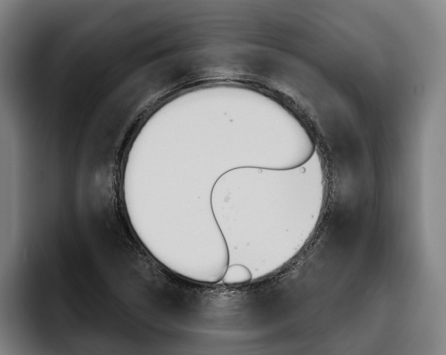 X0000093481314200710120947