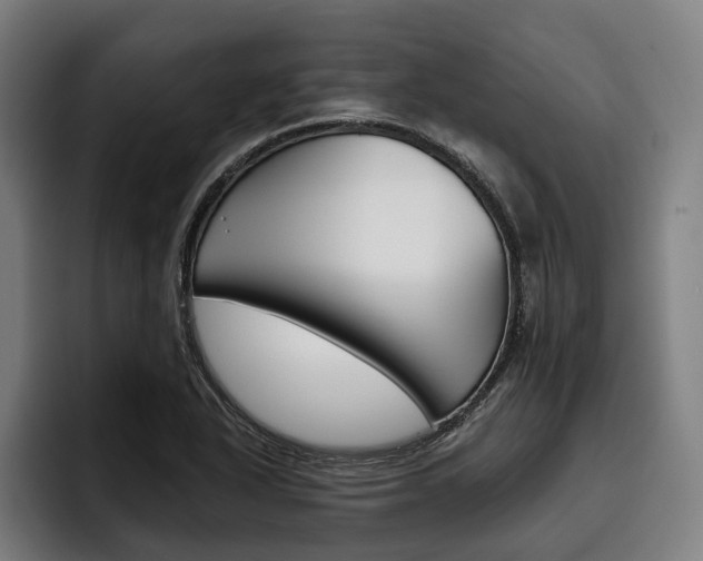 X0000093481318200710120947