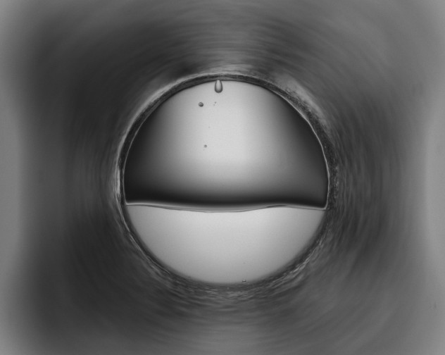 X0000093481324200710120947