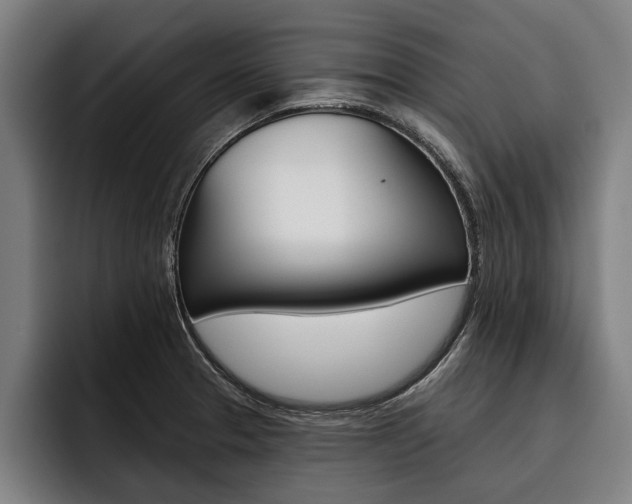 X0000093481329200710120947