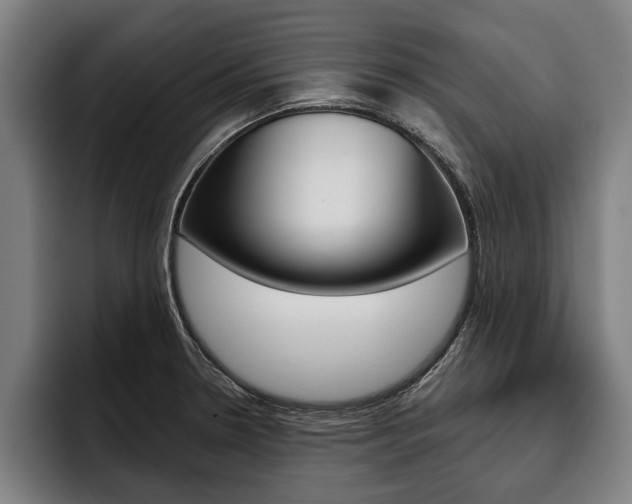 X0000093481330200710120947