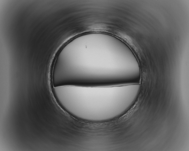 X0000093481331200710120947