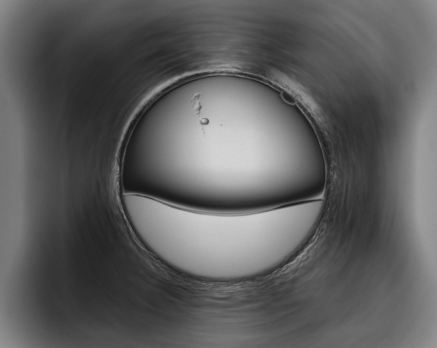 X0000093481332200710120947