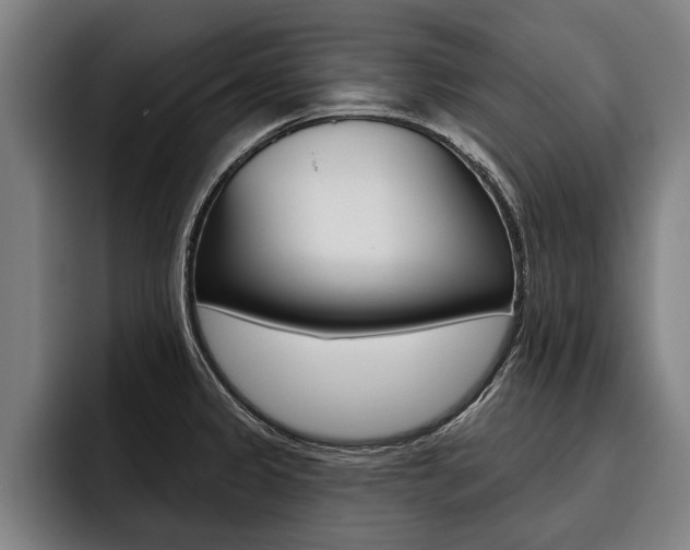 X0000093481333200710120947