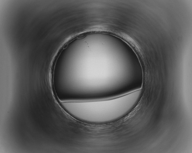 X0000093481334200710120947
