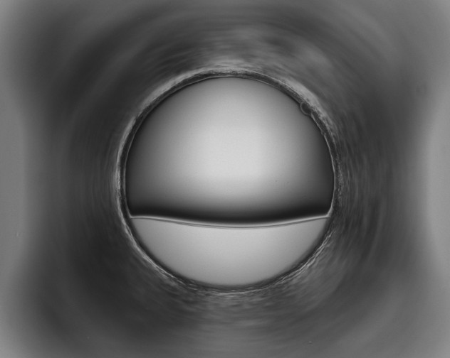 X0000093481335200710120947