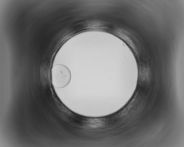 X0000093481338200710120947