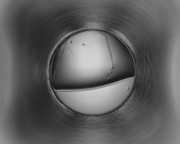 X0000093481339200710120947