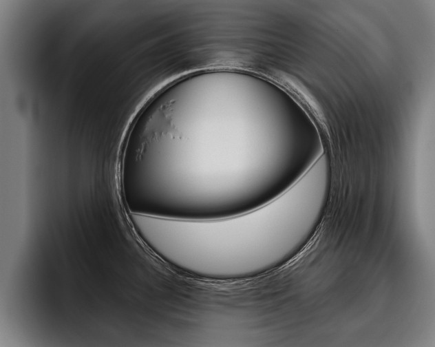 X0000093481340200710120947