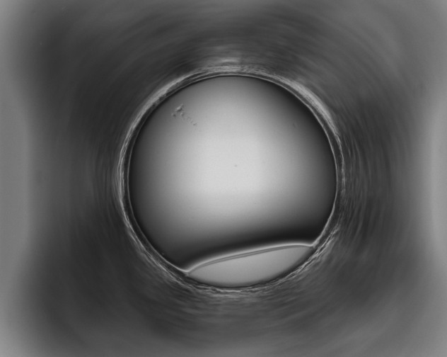 X0000093481341200710120947