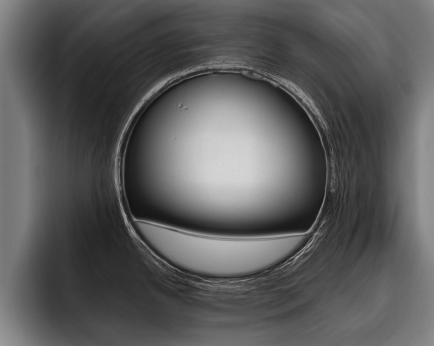 X0000093481342200710120948