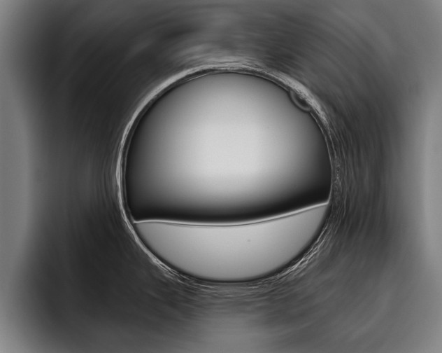 X0000093481343200710120948