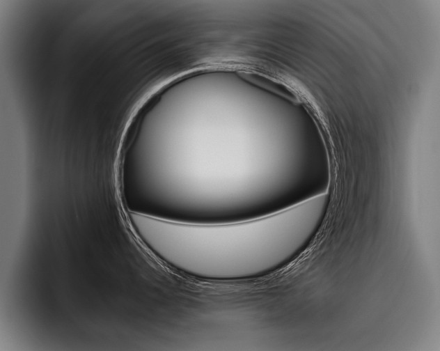 X0000093481344200710120948