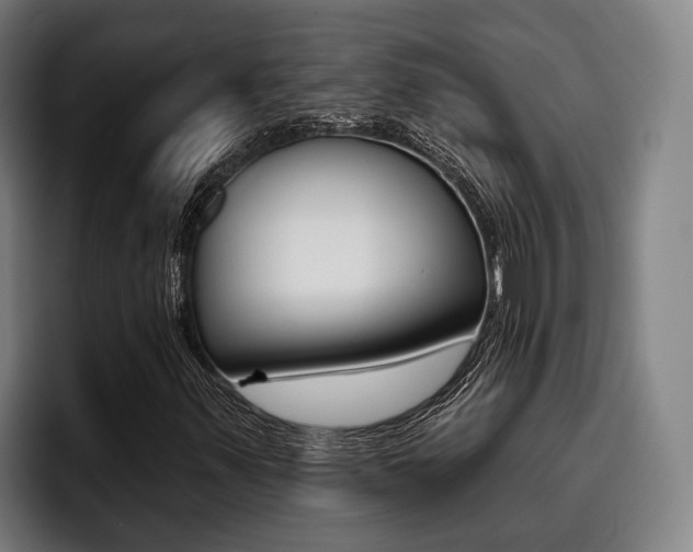 X0000093481347200710120947