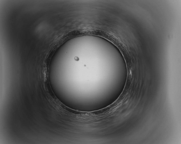 X0000093481348200710120947