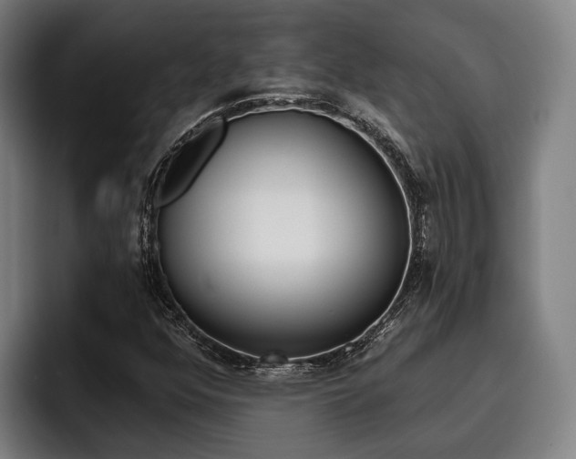 X0000093481352200710120947