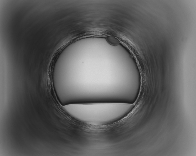 X0000093481354200710120947