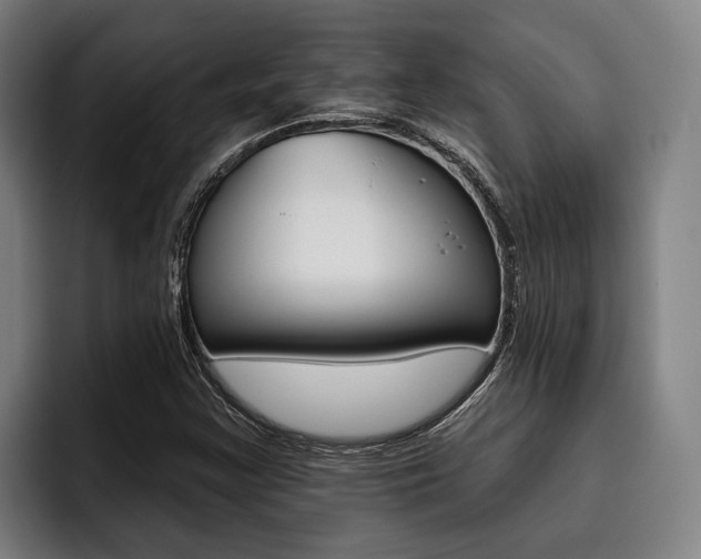 X0000093481355200710120947