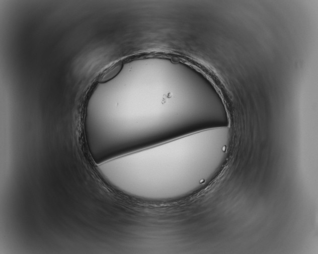 X0000093481359200710120947