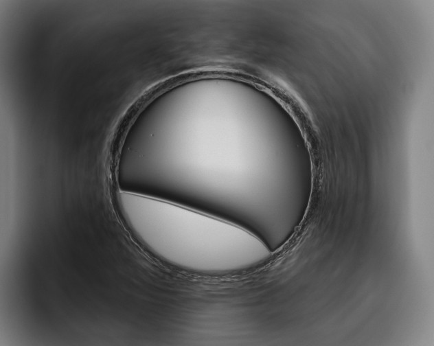 X0000093481360200710120947