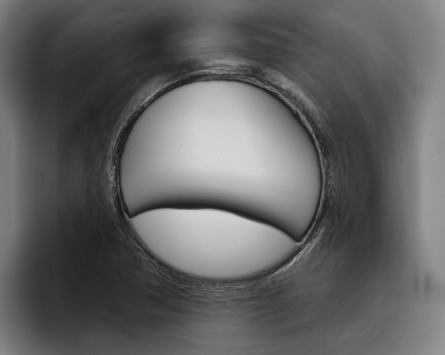 X0000093481362200710120947