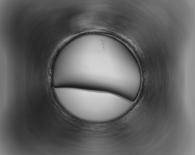 X0000093481363200710120947