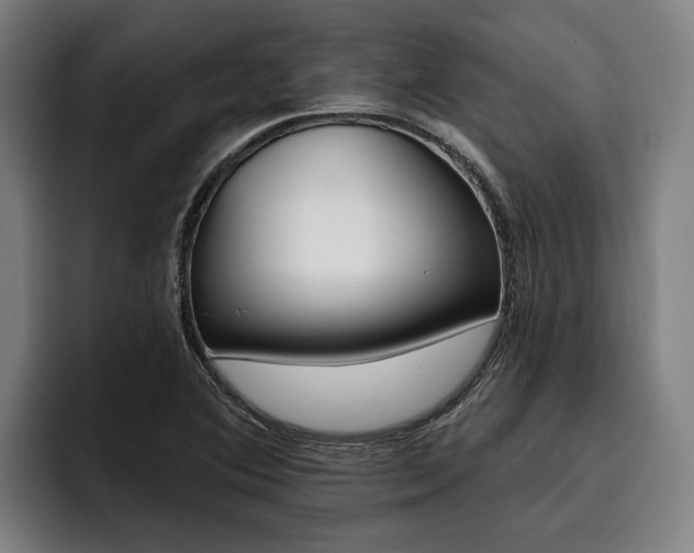 X0000093481364200710120947