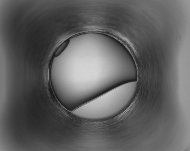 X0000093481365200710120947