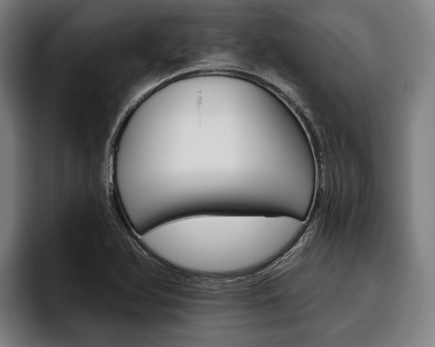 X0000093481366200710120947