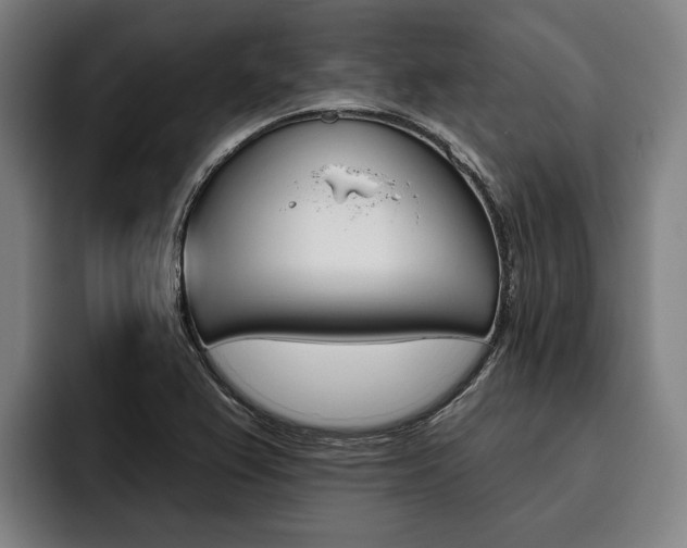 X0000093481367200710120947