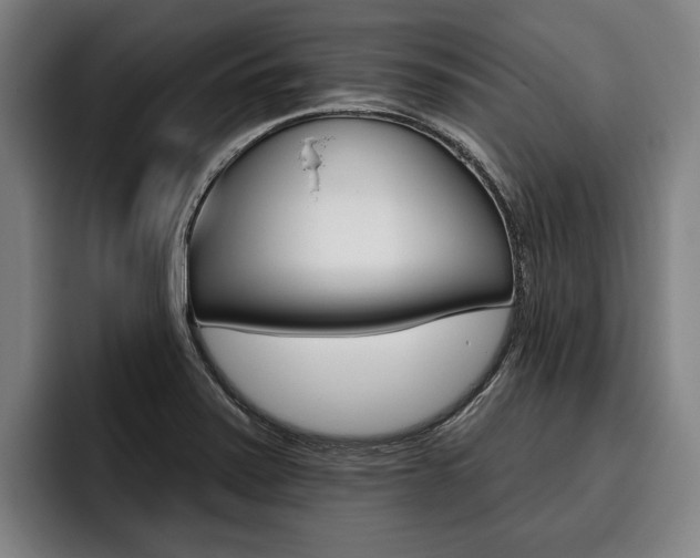 X0000093481371200710120947