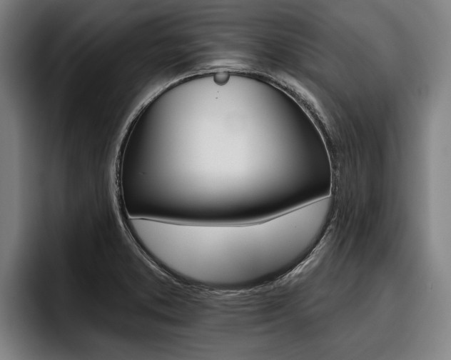 X0000093481373200710120947