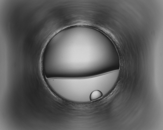 X0000093481375200710120947