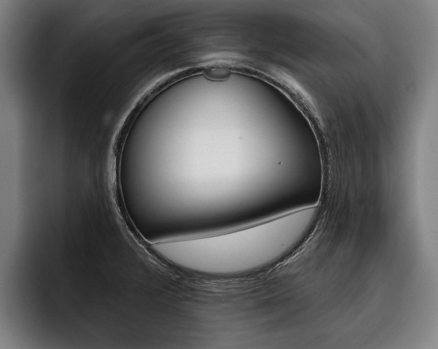 X0000093481376200710120947