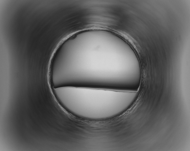 X0000093481379200710120947